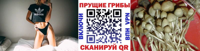 Псилоцибиновые грибы мухоморы Сортавала